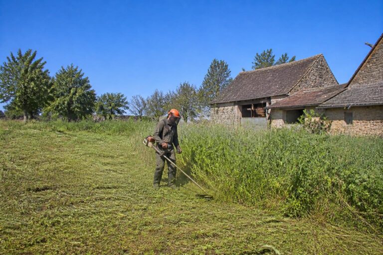 découvrez combien de temps il faut pour débroussailler une surface de 1000 m² et quels facteurs influencent la durée de cette tâche essentielle pour l'entretien de votre terrain.