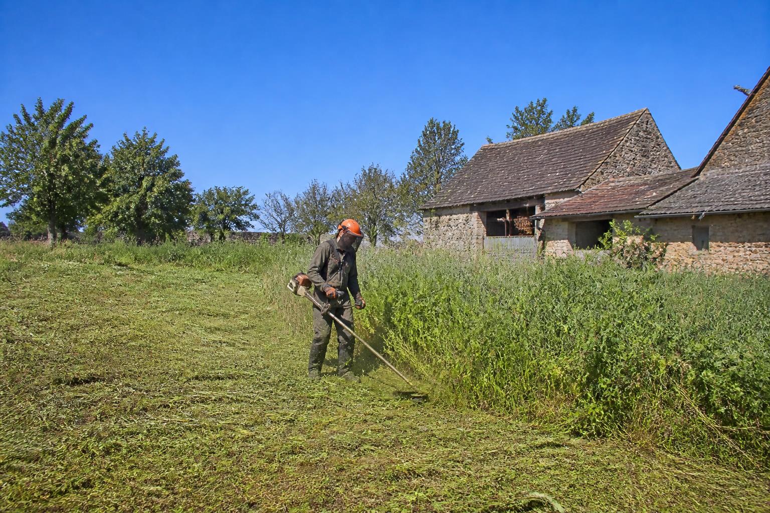 découvrez combien de temps il faut pour débroussailler une surface de 1000 m² et quels facteurs influencent la durée de cette tâche essentielle pour l'entretien de votre terrain.