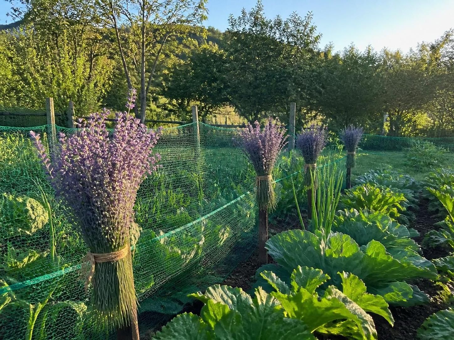 découvrez 5 parfums naturels efficaces pour éloigner les oiseaux de votre jardin et protéger vos récoltes de manière écologique et durable.